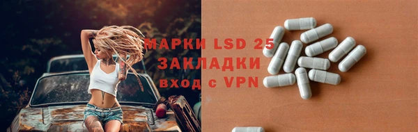 ПСИЛОЦИБИНОВЫЕ ГРИБЫ Бронницы
