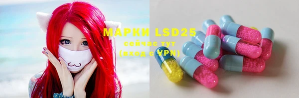 ECSTASY Лагань