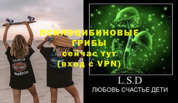 ПСИЛОЦИБИНОВЫЕ ГРИБЫ Верея